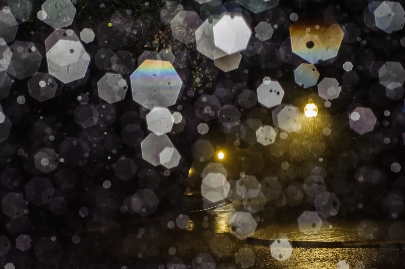 "Reflection of Raindrops"  City Park, New Orleans. 12/23/2014.   Format: digital via DSLR.
